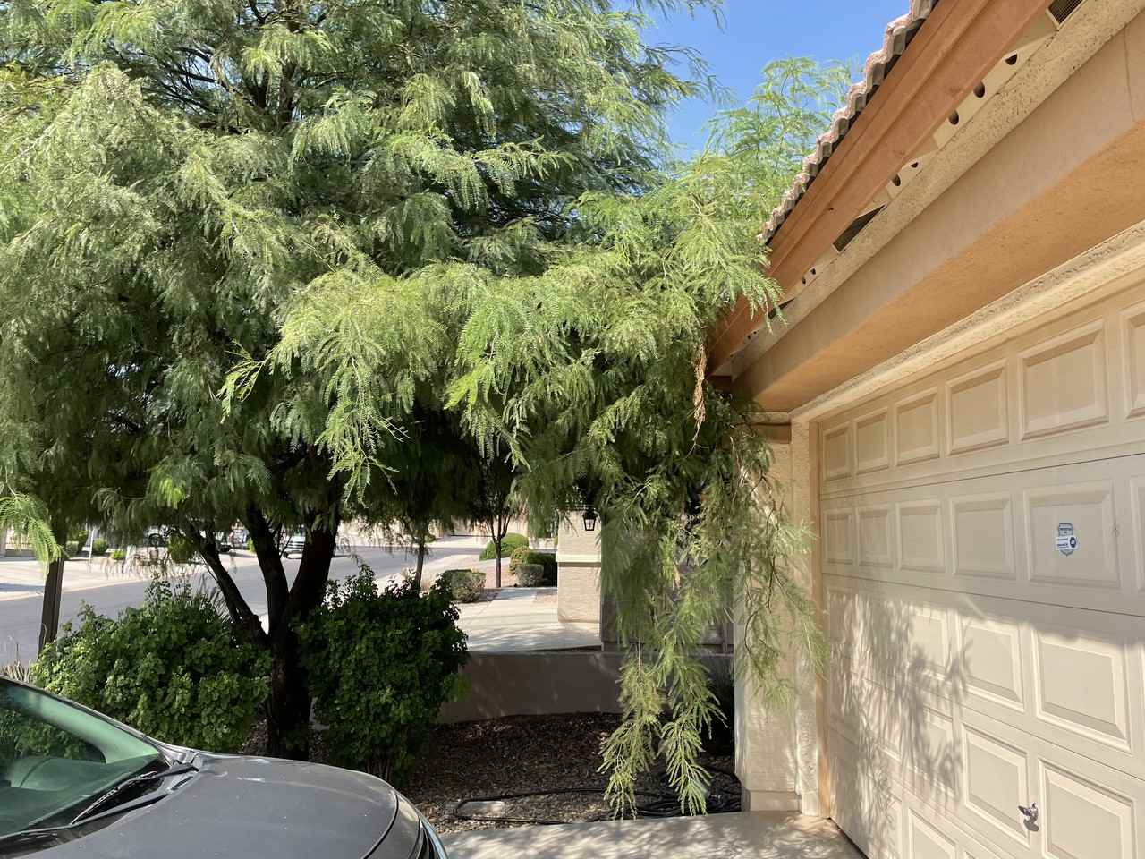 18450 W Ivy Ln - Photo 3 of 50