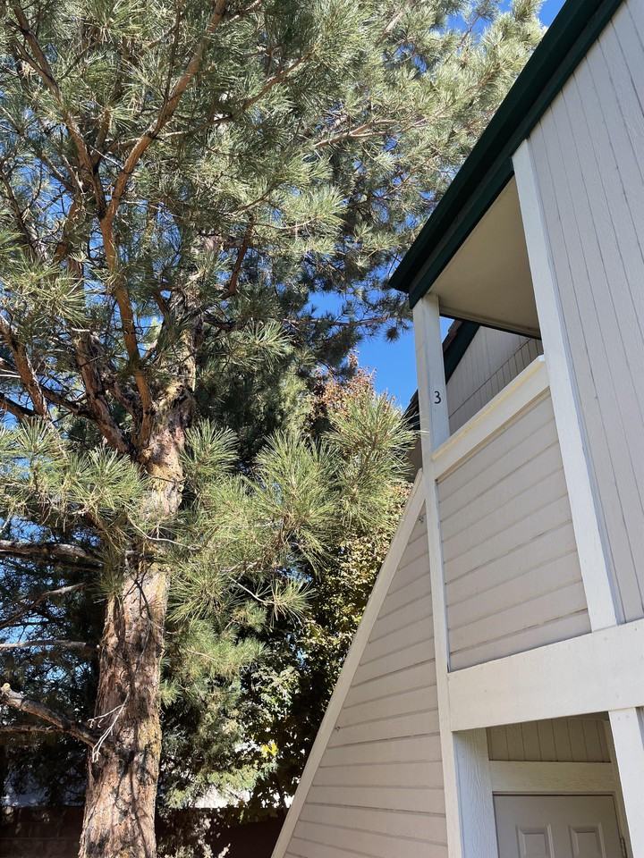 2667 Sycamore Glen Dr #1 - Photo 2 of 15