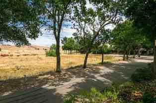 6175 Water Lily Common - Photo 1 of 1