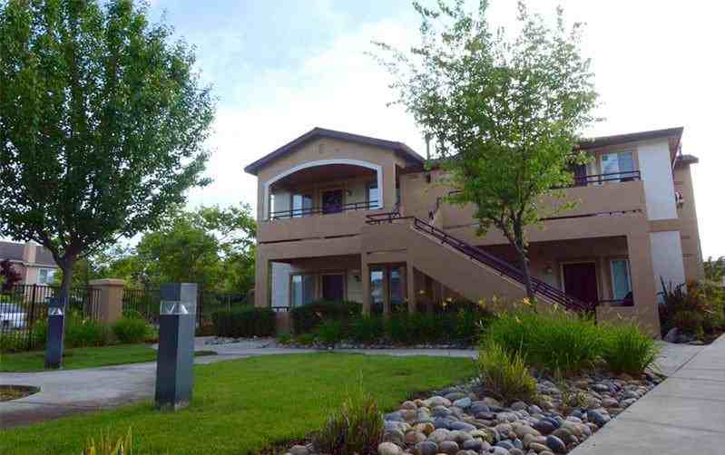 6175 Water Lily Cmns