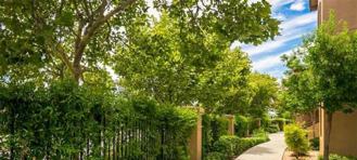 6175 Water Lily Cmns - Photo 1 of 1