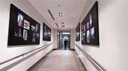 397 Front (Apex) - Photo 2 of 8