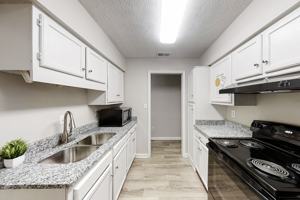 featured image of Wild Turkey Trl