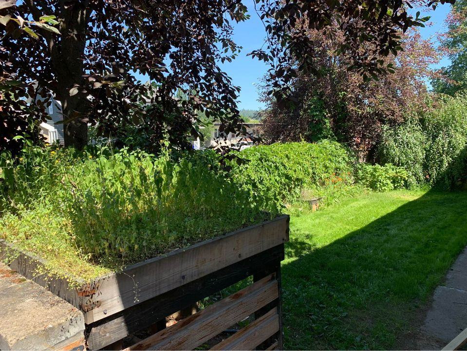 2189 Mcbride Cres #1 - Photo 3 of 18