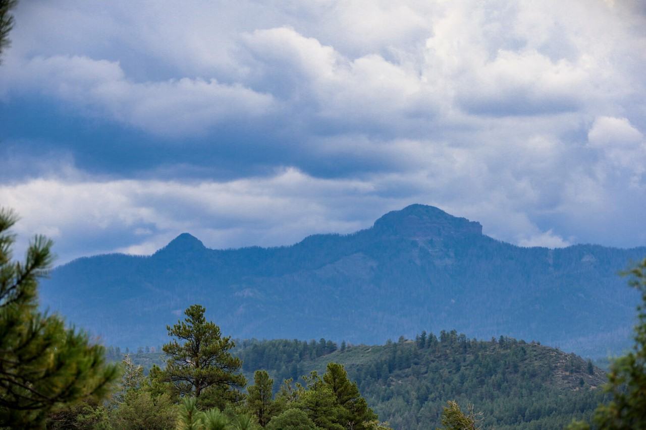 Sunrise Ridge1690 Shenandoah Drive #1 - Photo 5 of 50