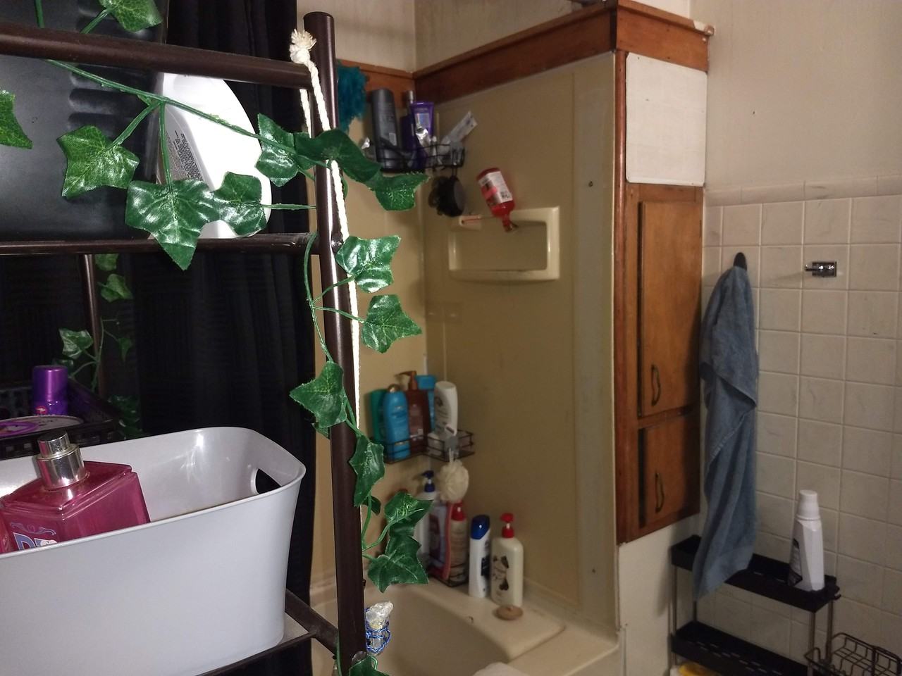 825 Water St - Photo 5 of 9