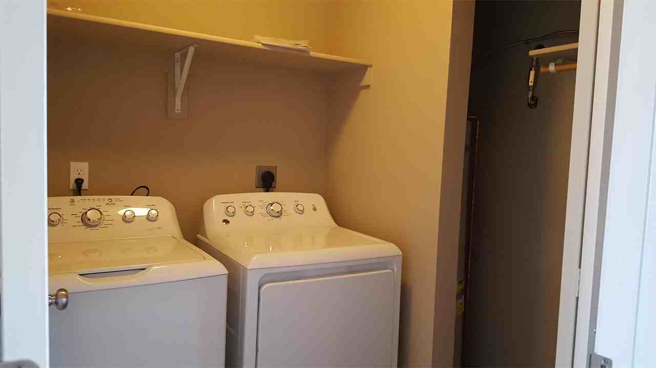 350 Water Lily - 16 #16 - Photo 6 of 24