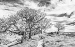 141 Flora Ave - Photo 1 of 1