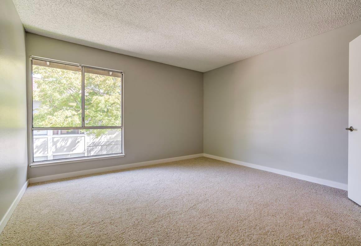 713 Trancas St - Photo 6 of 10