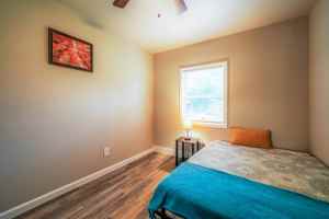 featured image of Mango St