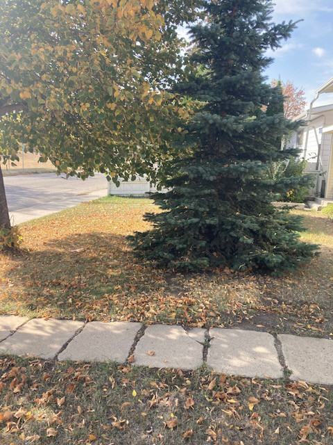 997 Mcmillan Ave #1 - Photo 3 of 25