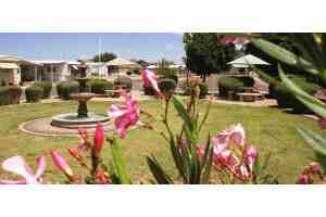 Lost Dutchman - Photo 2 of 7