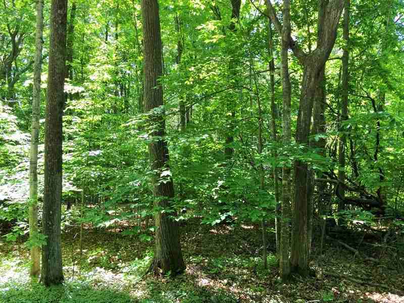 1400 Radcliff Ct - Photo 2 of 29