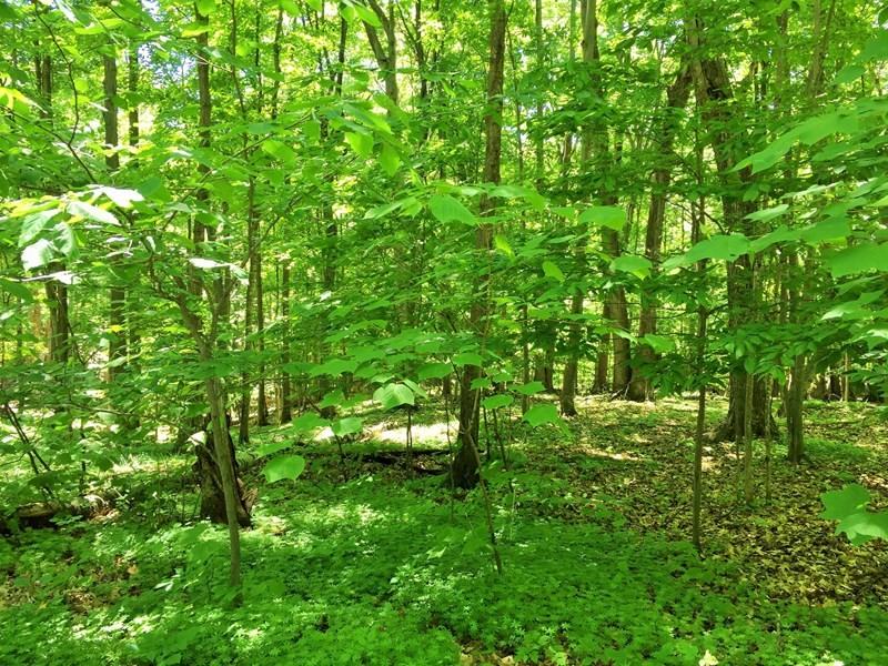 1400 Radcliff Ct - Photo 3 of 29