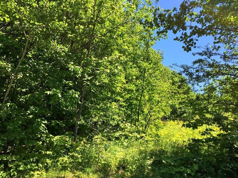 4956 Turfway Trail - Photo 2 of 26