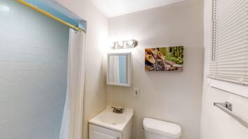 featured image of Louis Xiv Ln