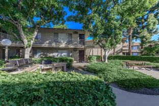 400 South Sunkist Street - Photo 1 of 1