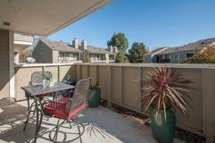 1000 Pheasant Dr - Photo 1 of 1