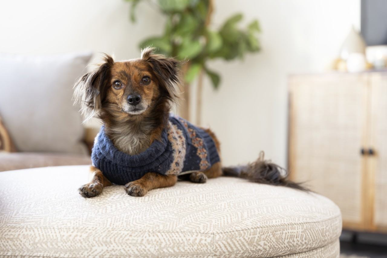 The Lucia on 15th - Photo 7 of 21