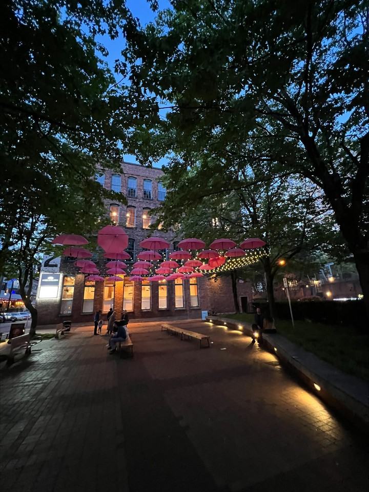 33 Smithe Street - Photo 2 of 31