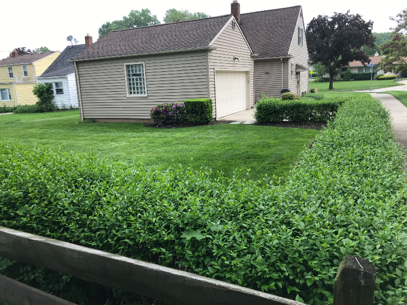 2250 Halcyon Rd - Photo 2 of 25