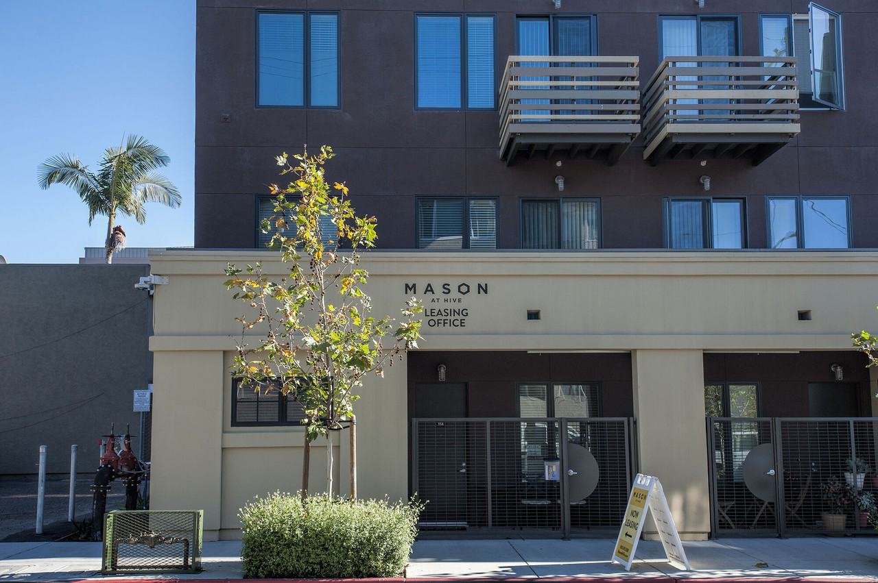 Mason at Hive - Photo 5 of 40