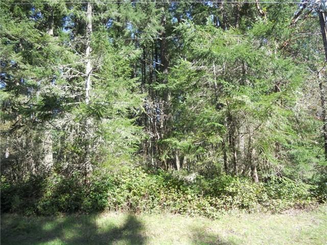 10909 Madrona Dr #AI - Photo 2 of 3