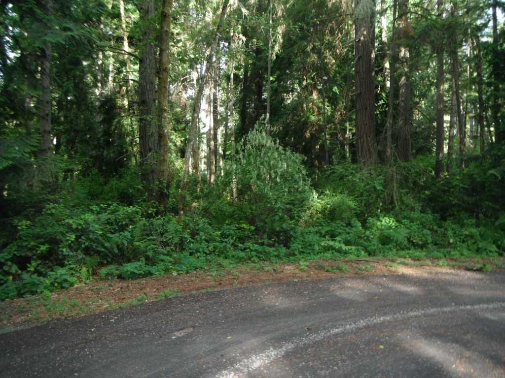 10525 105th Ave Ct - Photo 2 of 12