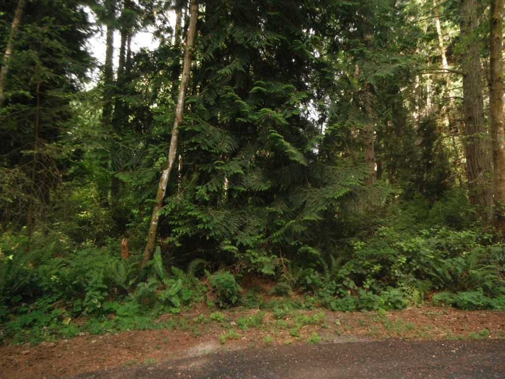 10525 105th Ave Ct - Photo 3 of 12