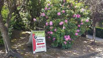 featured image of 3737 Se 36th Pl