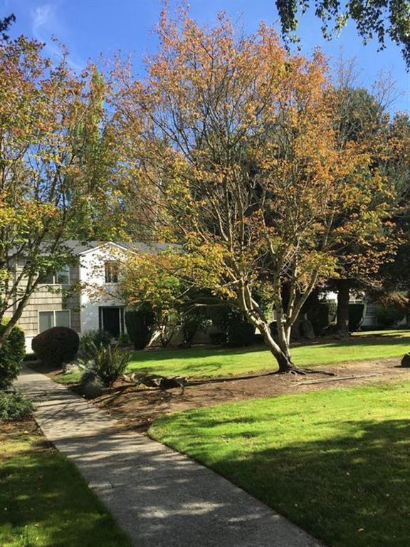 Powell Gardens Apartments 3506 Se 33rd Ave, Portland, OR 97202 Zumper