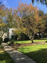 Powell Gardens Apartments - Photo 1 of 1