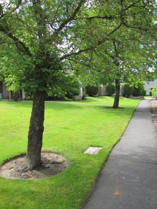 Tara West Apartments - Photo 5 of 8