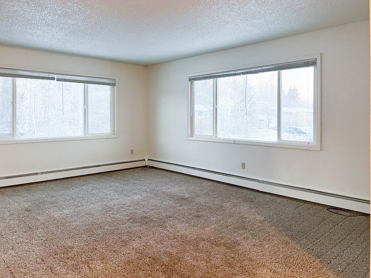 6342 E 16th Ave #4 - Photo 6 of 18