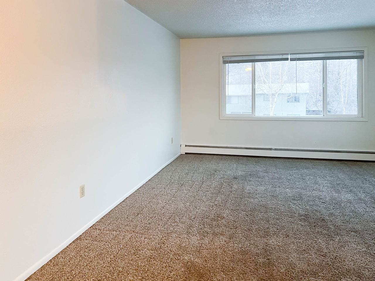 6342 E 16th Ave #4 - Photo 7 of 18