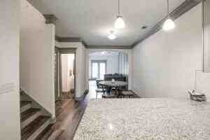 2439 Sequoia Trl - Photo 5 of 15