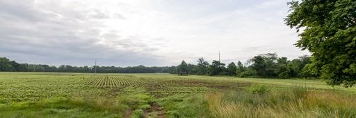 784 S Alpha Bellbrook Rd - Photo 3 of 36