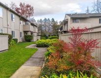 1326 E Cotati Ave - Photo 1 of 1
