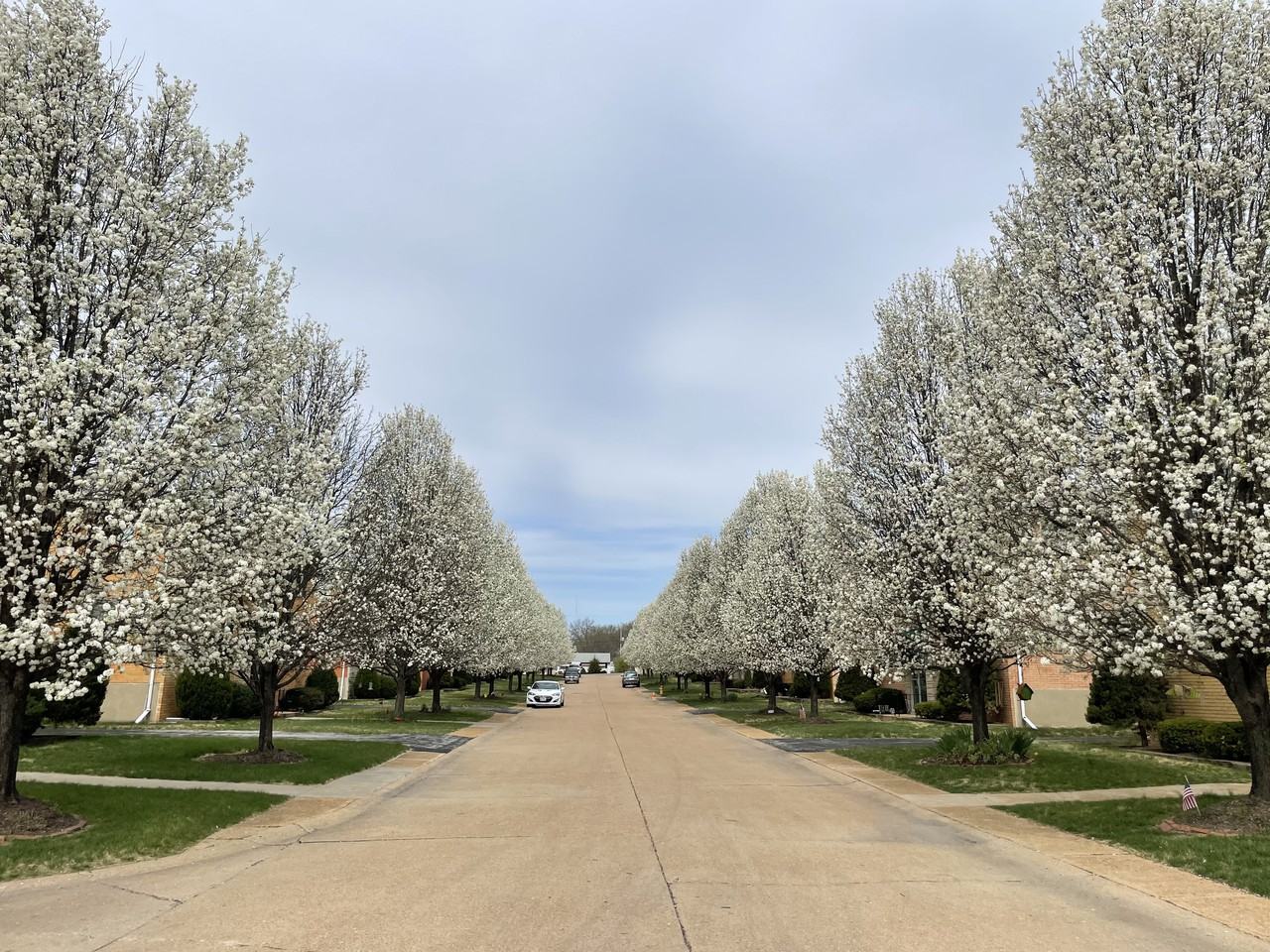4229 Fatima Drive #3 - Photo 2 of 13