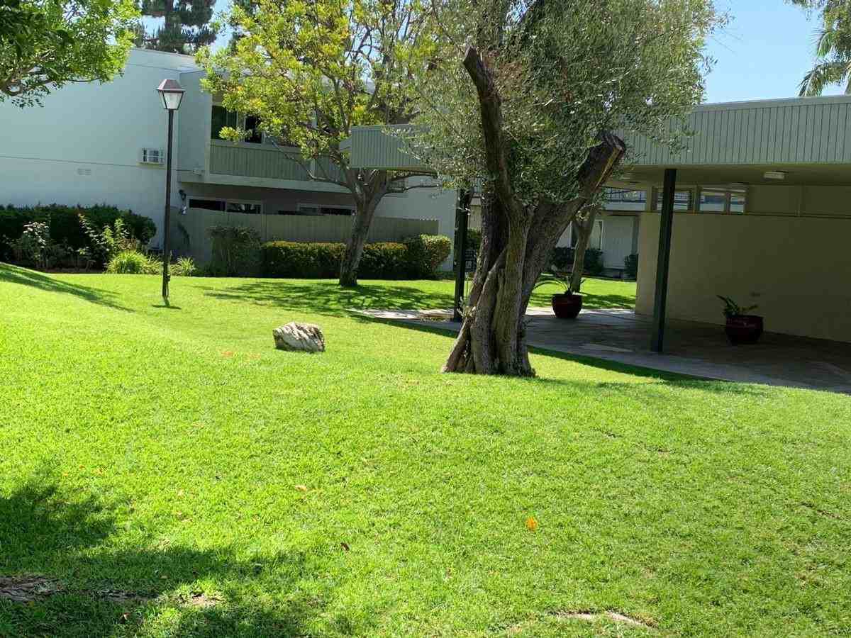 4901 Clair Del Ave - Photo 5 of 23