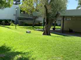 4901 Clair Del Avenue - Photo 1 of 1