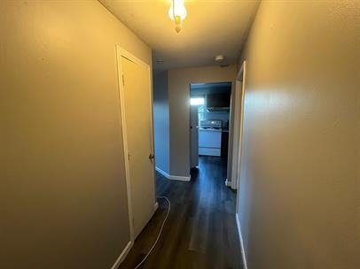 451 Divinity Street - Photo 2 of 17