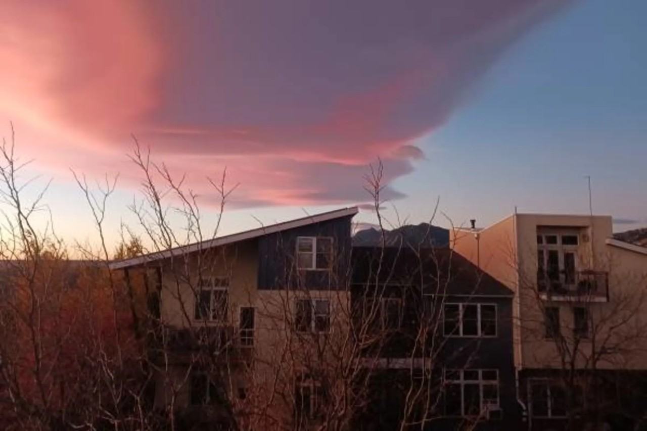 1685 Yellow Pine Ave - Photo 3 of 30