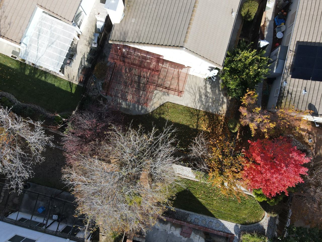 961 Celestine Circle - Photo 4 of 38