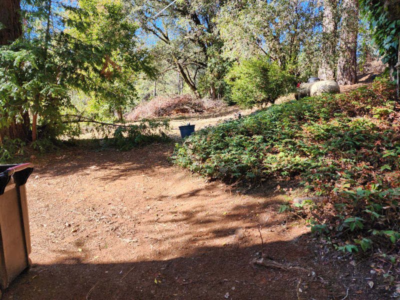 16619 Old Stagecoach Rd - Photo 7 of 14