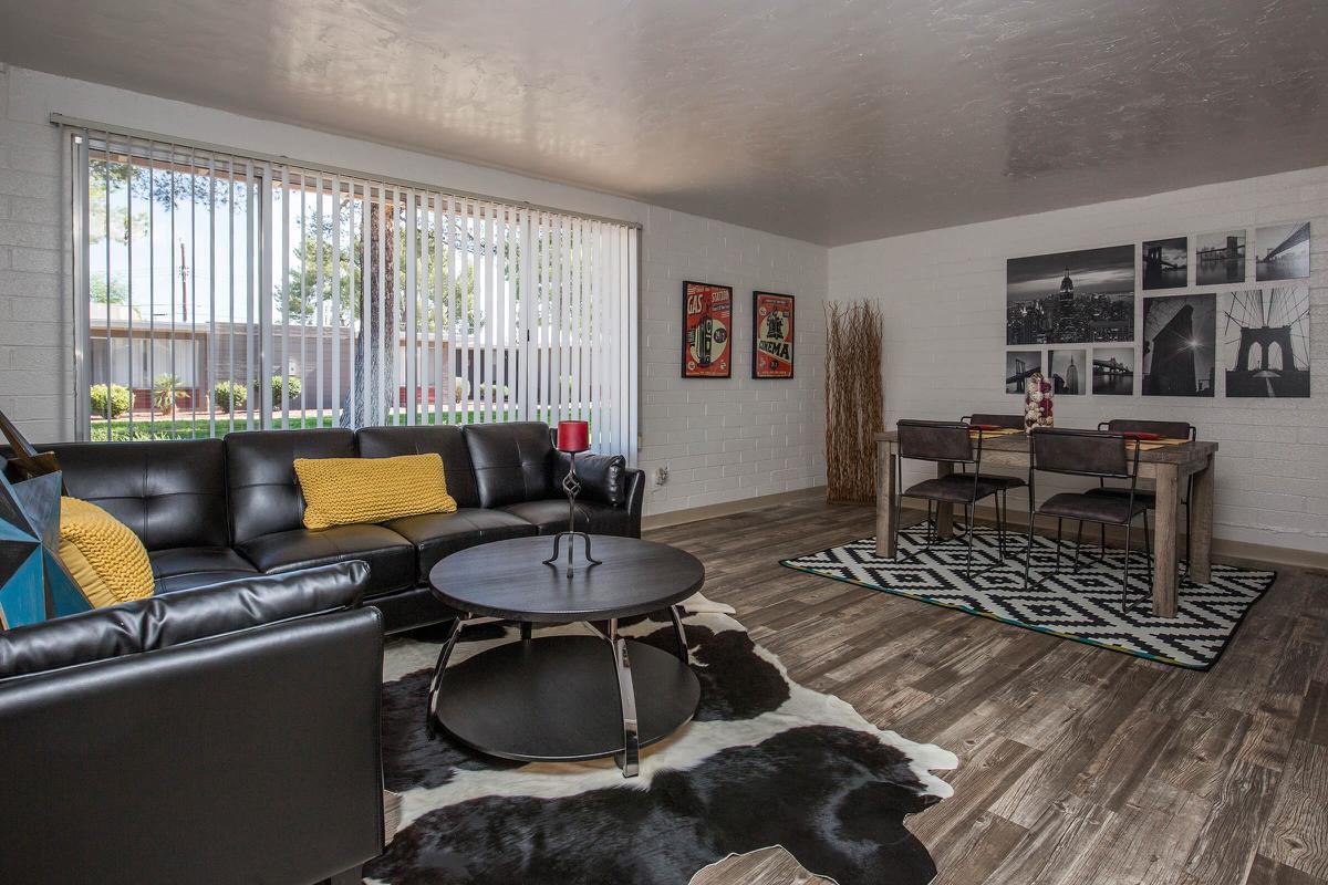 Icon on Stella - Photo 2 of 34