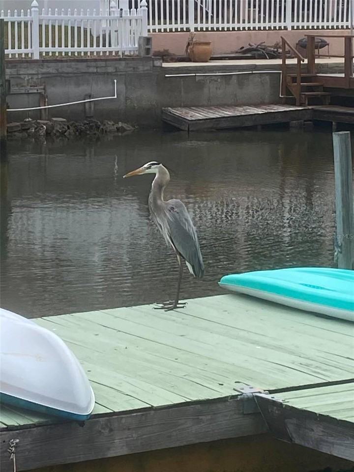 7527 Hatteras Dr - Photo 4 of 29