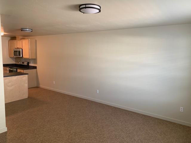 236 Jewel Basin Ct - Photo 3 of 12