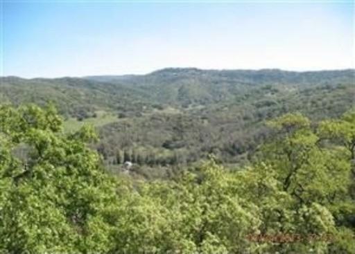 50 Juniper Dr - Photo 3 of 18