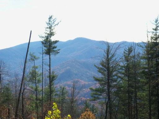 1046 Smokey Cove Rd - Photo 2 of 22